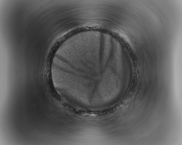 X0000094340920200711301245