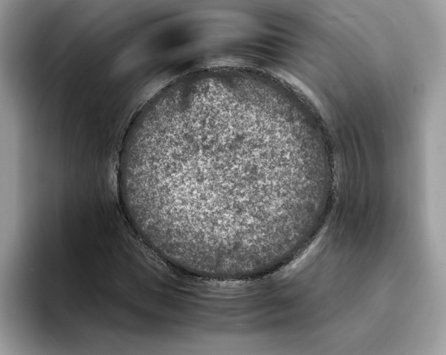 X0000094340921200711301245