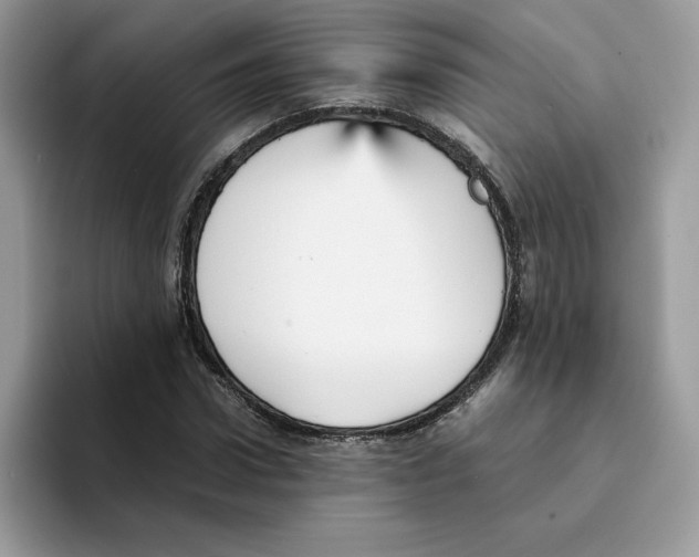 X0000094340922200711301245