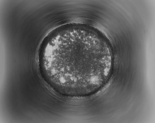 X0000094340923200711301245