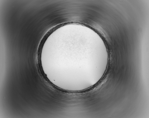 X0000094340924200711301245