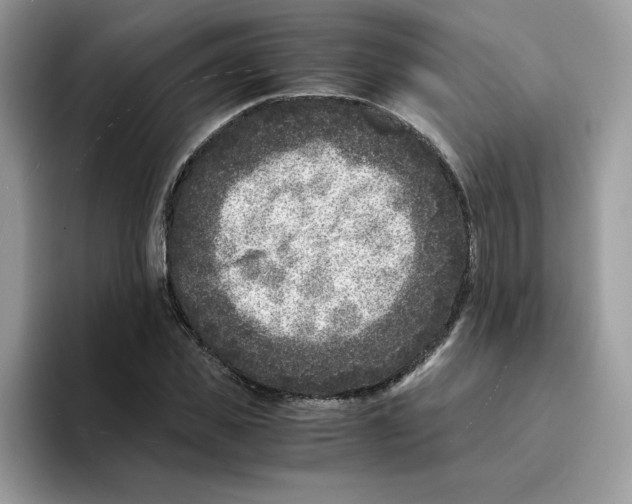 X0000094340925200711301245