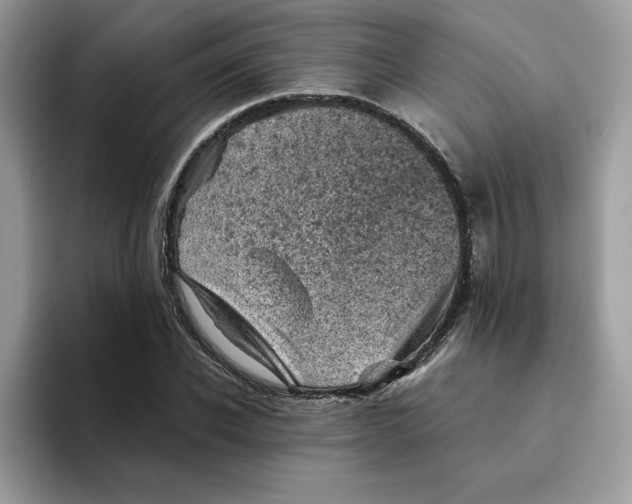 X0000094340926200711301245