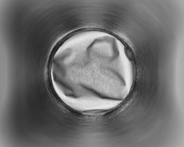 X0000094340928200711301245