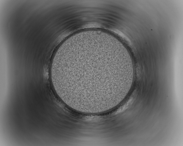 X0000094340929200711301245