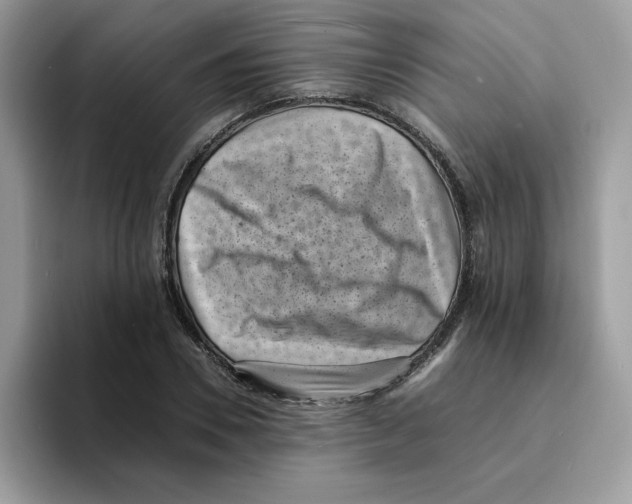 X0000094340930200711301246