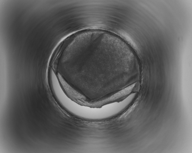 X0000094340932200711301246