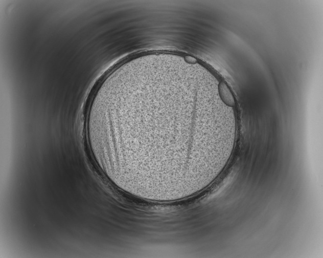 X0000094340933200711301246