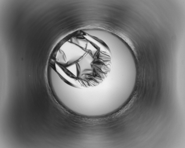 X0000094340936200711301246