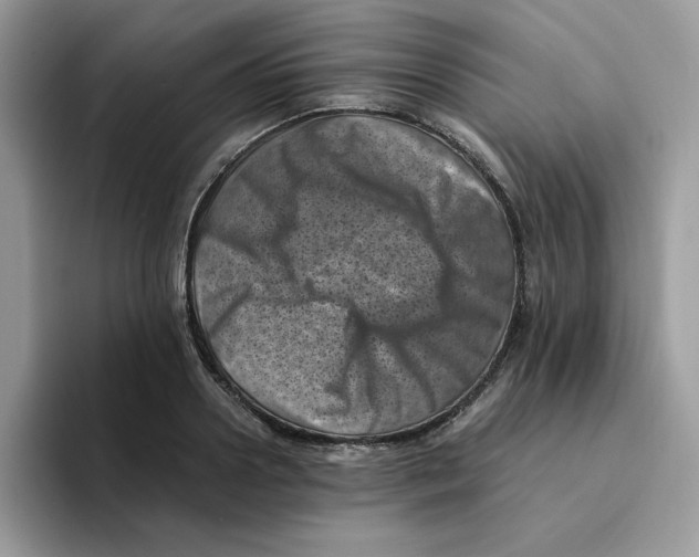 X0000094340938200711301246