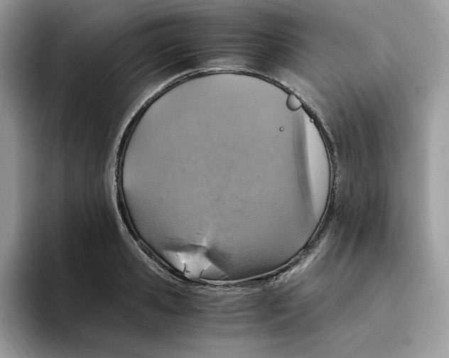 X0000094340941200711301246