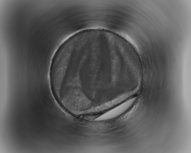 X0000094340943200711301246