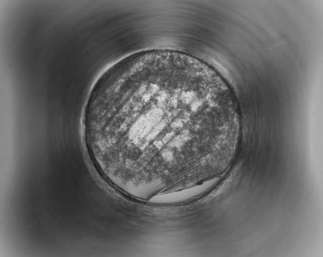 X0000094340944200711301246