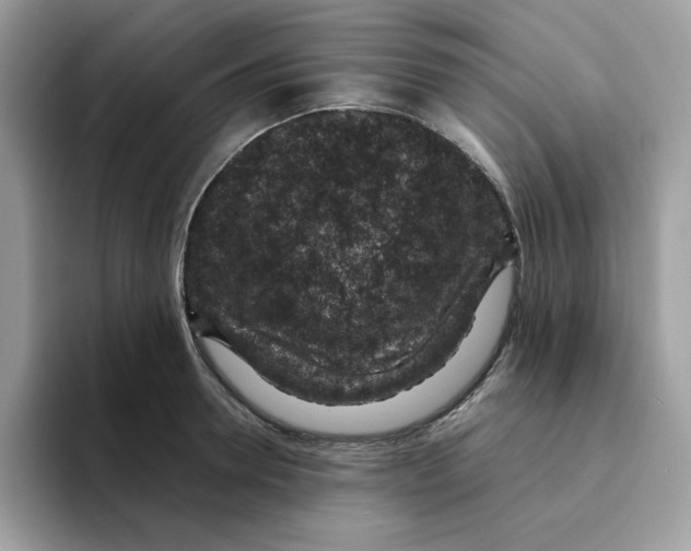 X0000094340946200711301246