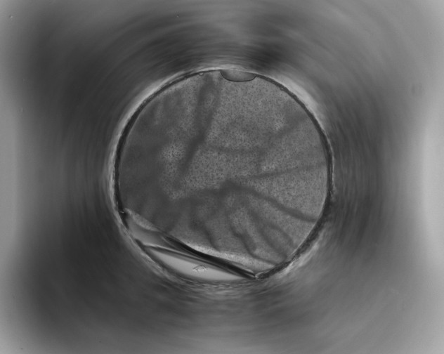 X0000094340949200711301246