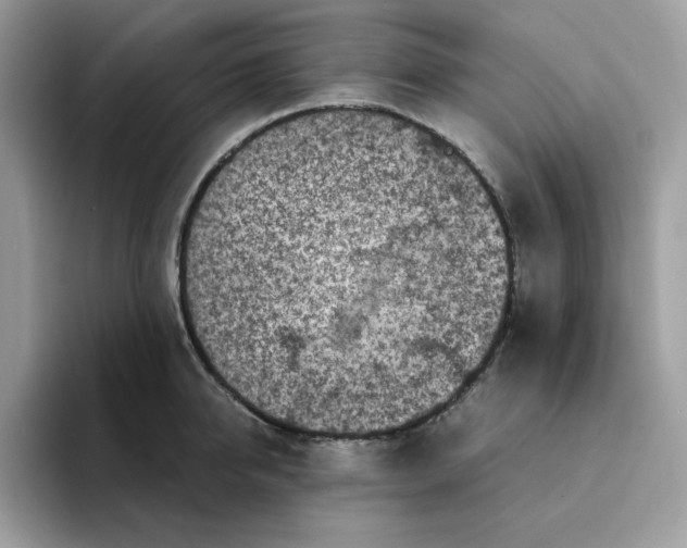 X0000094340950200711301246