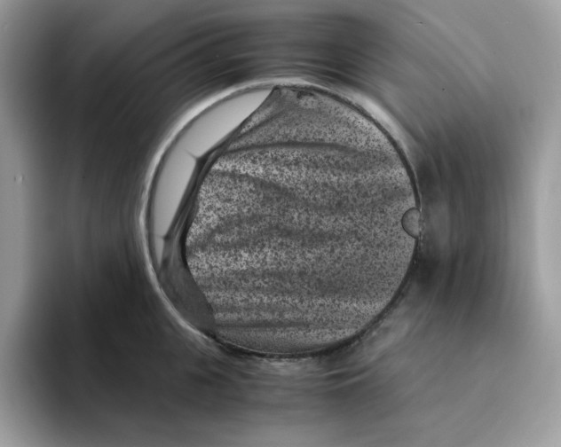 X0000094340951200711301246