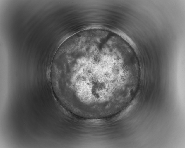 X0000094340953200711301246