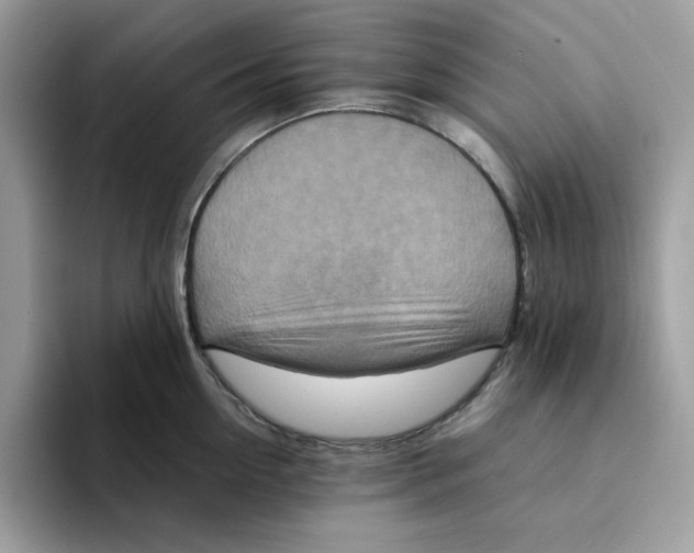 X0000094340954200711301246