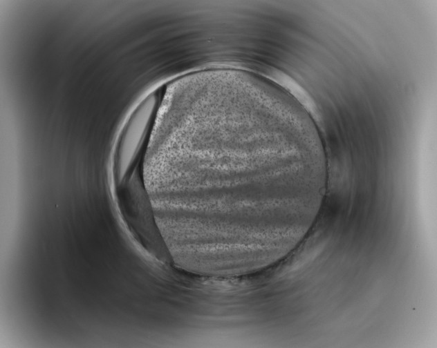 X0000094340955200711301246