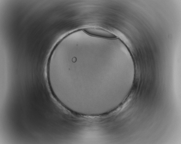 X0000094340958200711301246