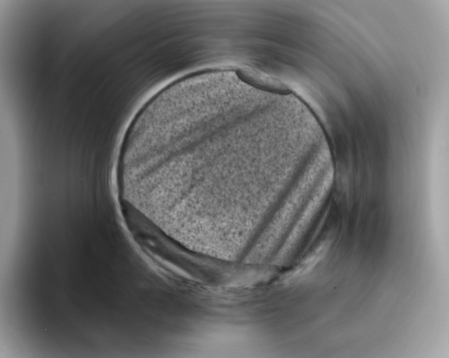 X0000094340959200711301246