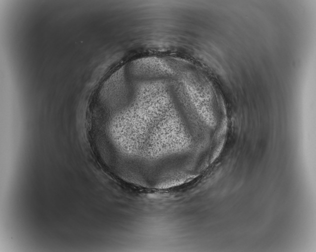 X0000094340961200711301245