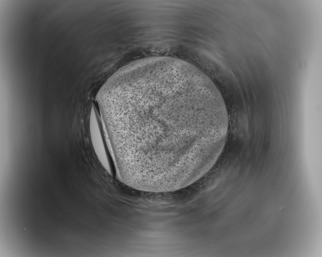 X0000094340962200711301245