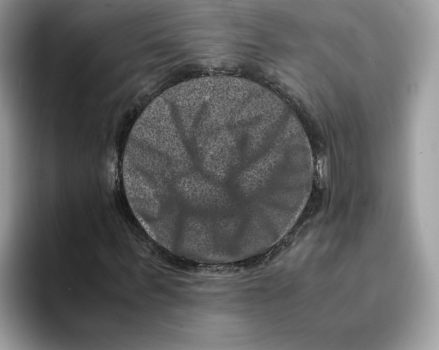 X0000094340963200711301245