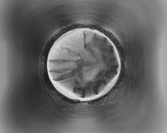 X0000094340968200711301245