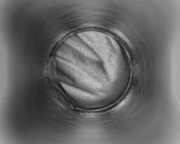 X0000094340969200711301245