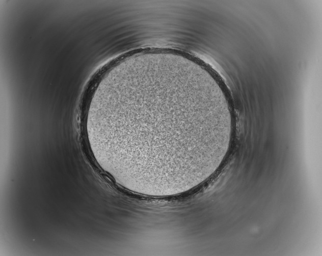 X0000094340971200711301245