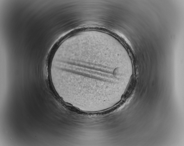 X0000094340973200711301245