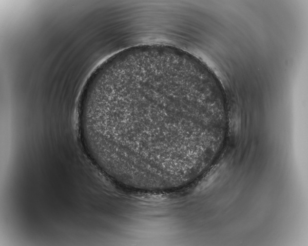 X0000094340975200711301245