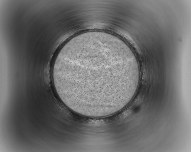 X0000094340978200711301245