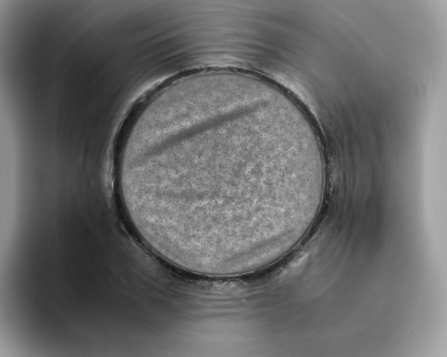 X0000094340979200711301245