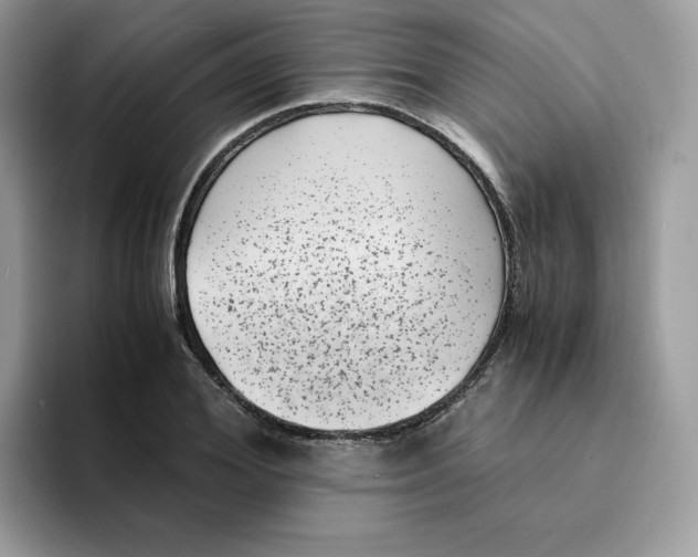 X0000094340980200711301245