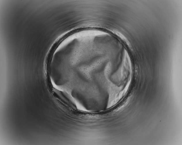 X0000094340981200711301245