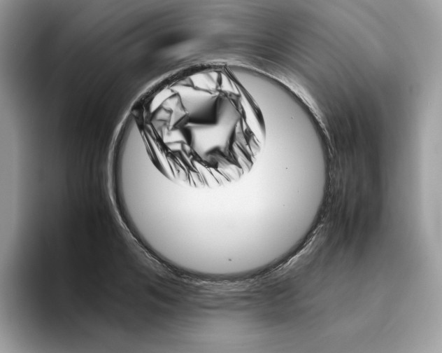 X0000094340984200711301245