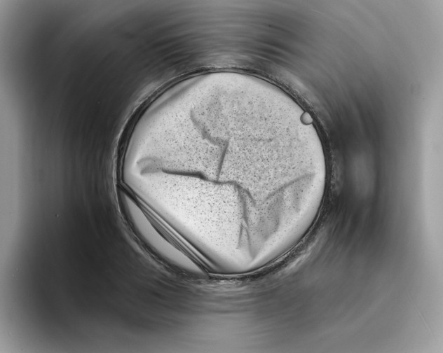 X0000094340986200711301245