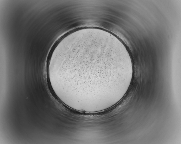 X0000094340988200711301245