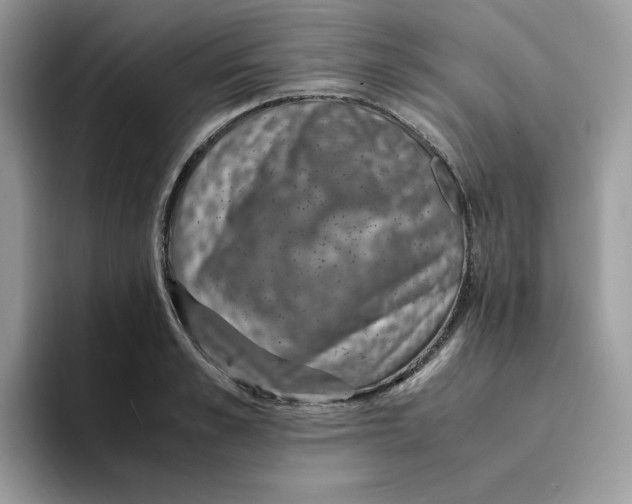 X0000094340989200711301245