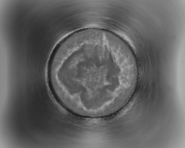 X0000094340991200711301245