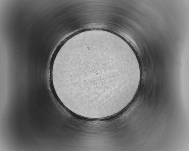 X0000094340992200711301245