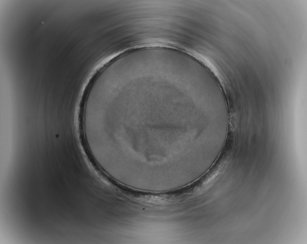 X0000094340995200711301245