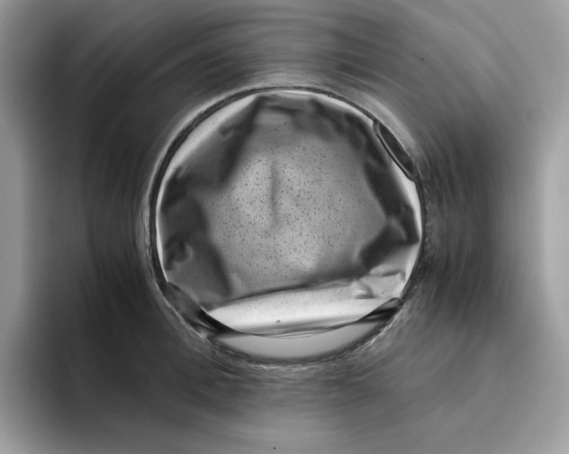 X0000094340996200711301245