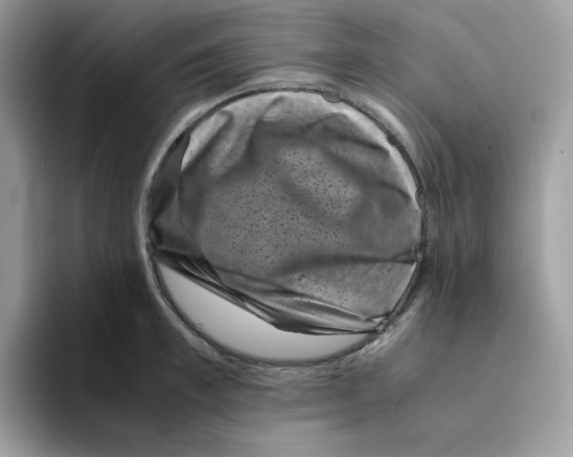 X0000094340997200711301245