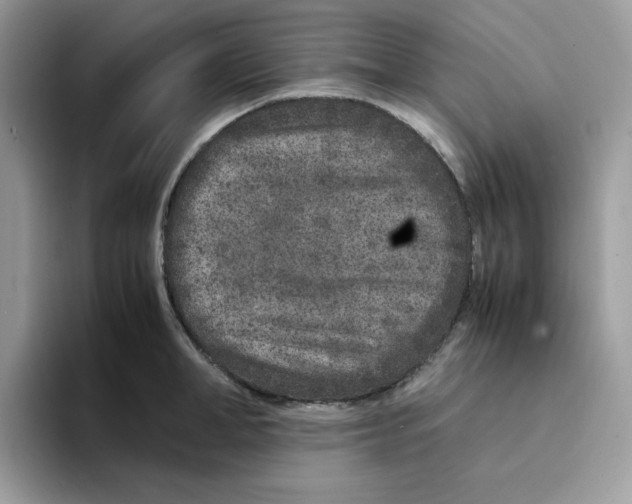 X0000094340998200711301245