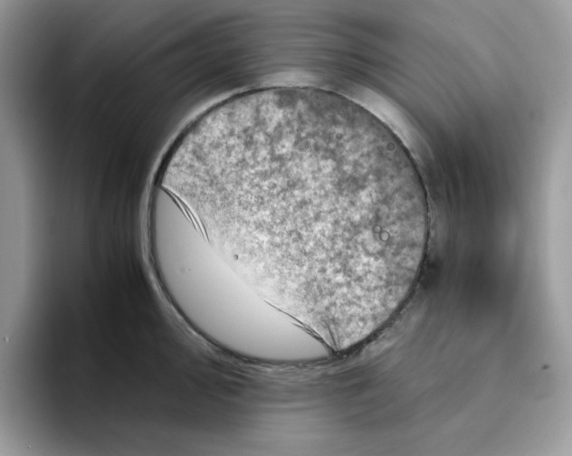 X0000094341000200711301245