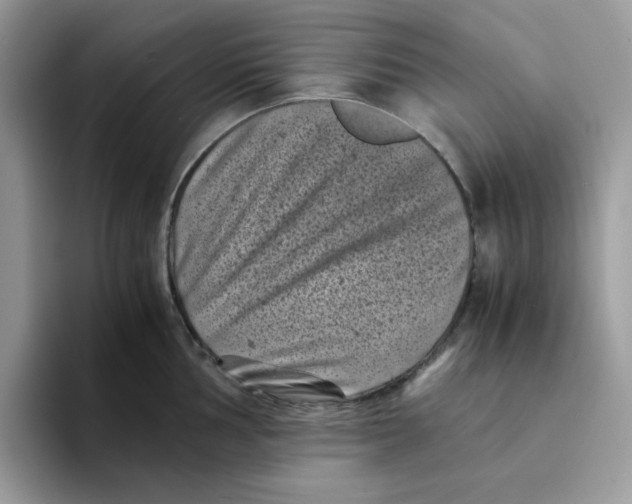 X0000094341002200711301245